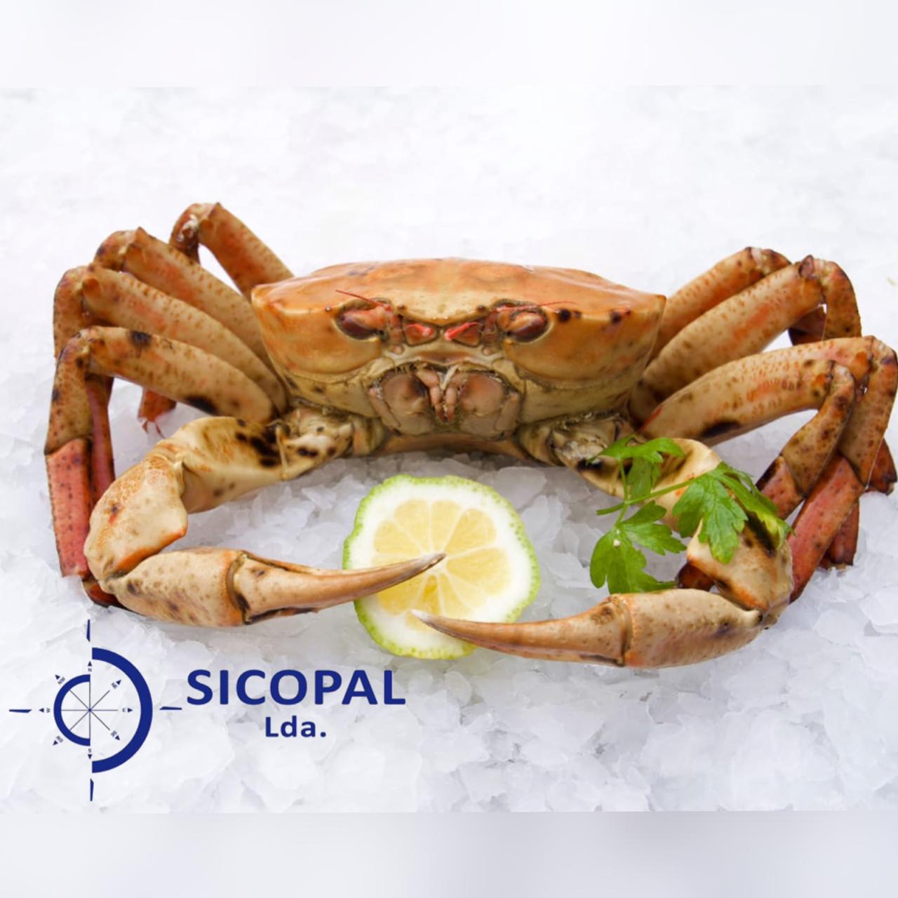 Read more about the article Mariscos